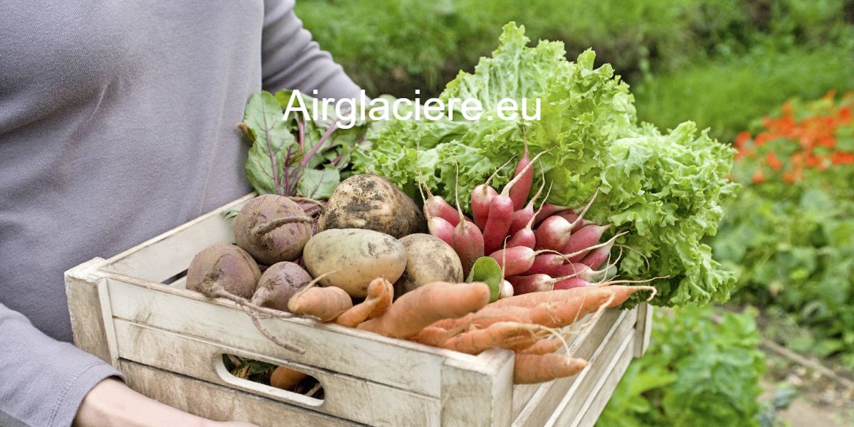 airglaciere.eu